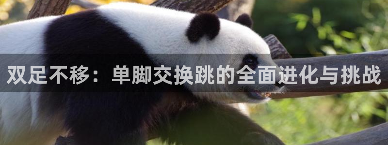 劲爆体育在哪里看直播：双足不移：单脚交换跳的全面进化与挑战